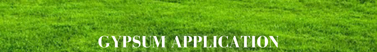 gypsum application