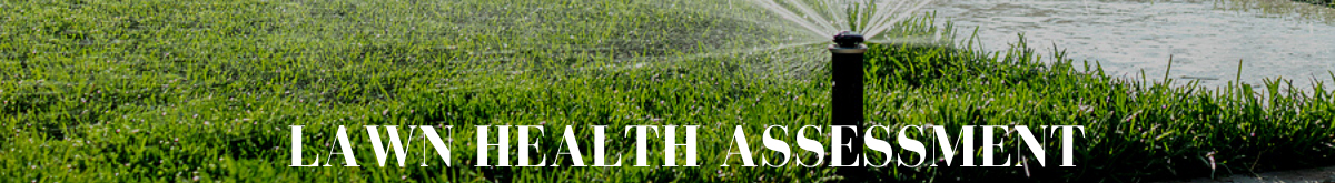 Lawn Health Assessment