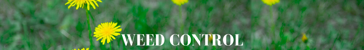weed control